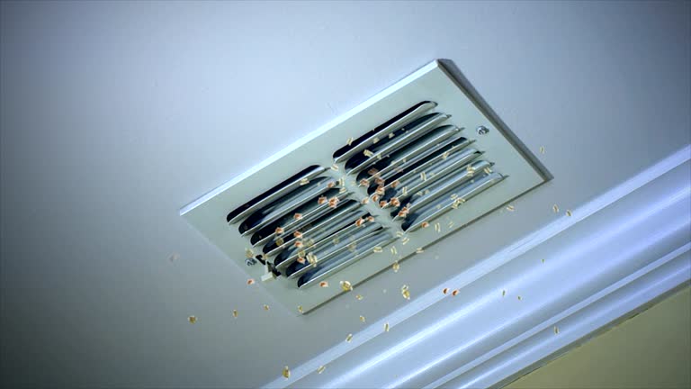 Best Residential Air Duct Cleaning  in Harwood Heights, IL